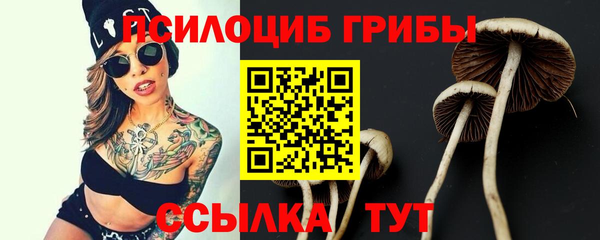 Галлюциногенные грибы GOLDEN TEACHER Ишим